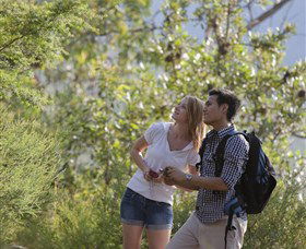 The Rock Lookout - Accommodation Mount Tamborine 6