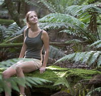 Barrington Tops National Park - Honeysuckle Forest Track - Accommodation Mount Tamborine