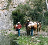 Yarramba Horse Riding - Accommodation Mount Tamborine