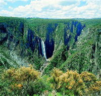 Wollomombi Falls - Accommodation Mount Tamborine