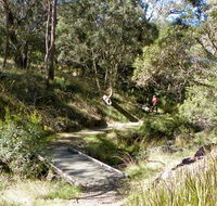 Wollomombi walking track - Accommodation Mount Tamborine
