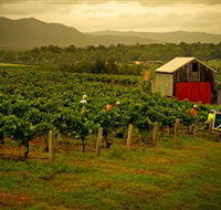 Around Hermitage Wine and Food Trail Hunter Valley - Accommodation Mount Tamborine