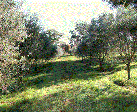 Langdale Farm - Accommodation Mount Tamborine