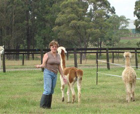 Langdale Farm - Accommodation Mount Tamborine 4
