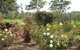 Langdale Farm - thumb 6