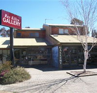 Ray Killen Gallery - Accommodation Mount Tamborine