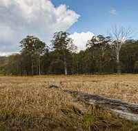 Mummel Gulf National Park - Accommodation Mount Tamborine