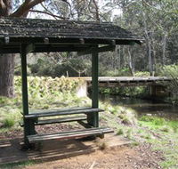 Barrington Tops State Forest - Accommodation Mount Tamborine
