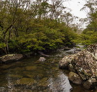 River walking track - Accommodation Mount Tamborine