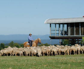 Tobruk Sydney - Accommodation Mount Tamborine 0