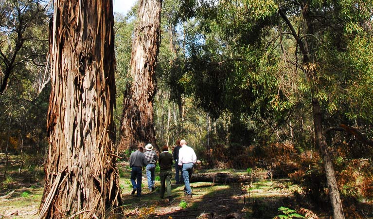 Endrick NSW Accommodation Mount Tamborine