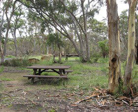 Box Vale Picnic Area - Accommodation Mount Tamborine 2