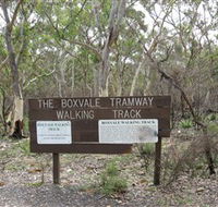 Box Vale Picnic Area - Accommodation Mount Tamborine
