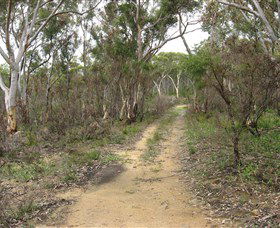 Box Vale Picnic Area - Accommodation Mount Tamborine 4