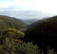 Nattai Gorge Lookout - Accommodation Mount Tamborine