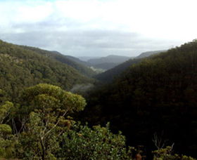 Nattai Gorge Lookout - Accommodation Mount Tamborine 0