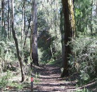 Box Vale Mine Walking Track and Lookout - Accommodation Mount Tamborine