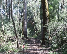 Box Vale Mine Walking Track And Lookout - Accommodation Mount Tamborine 0