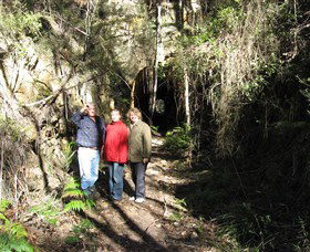 Box Vale Mine Walking Track And Lookout - Accommodation Mount Tamborine 4