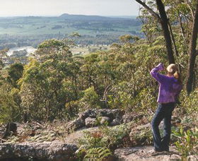 Gibbergunyah Reserve - Accommodation Mount Tamborine 0