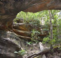 Cave Creek Walking Track - Accommodation Mount Tamborine