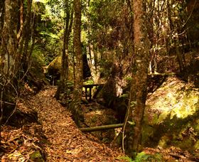 Cave Creek Walking Track - Accommodation Mount Tamborine 2