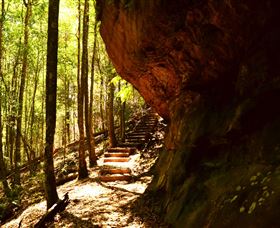 Cave Creek Walking Track - Accommodation Mount Tamborine 1