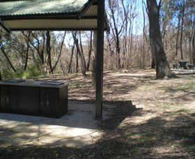 Cave Creek Walking Track - Accommodation Mount Tamborine 4