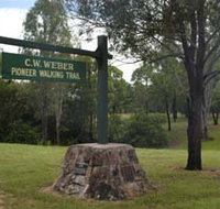 Pioneer Country Park - Accommodation Mount Tamborine