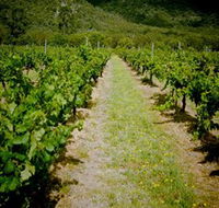Gartelmann Wines - Accommodation Mount Tamborine
