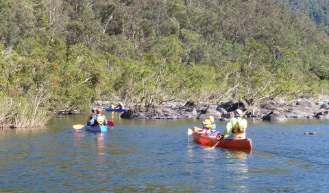 Nymboida National Park - Accommodation Mount Tamborine 1