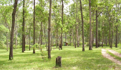 Nymboida National Park - Accommodation Mount Tamborine 2
