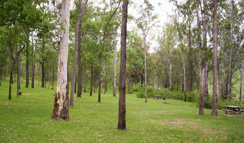 Nymboida National Park - Accommodation Mount Tamborine 3