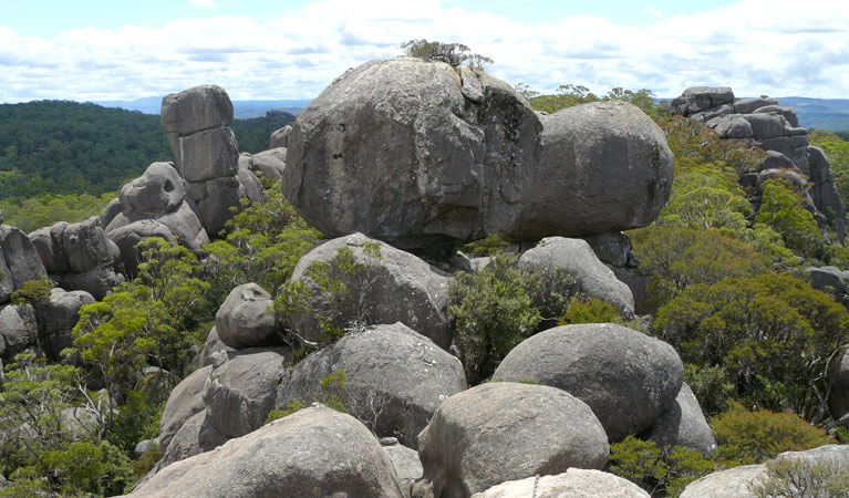 Hernani NSW Accommodation Mount Tamborine