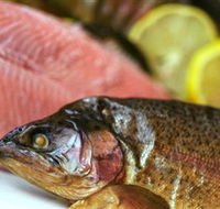 Lovedale Smokehouse Gourmet Pantry Cafe and Masterclasses - Accommodation Mount Tamborine