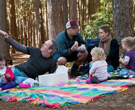 Wyong NSW Accommodation Mount Tamborine