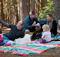 State Forests of the Watagan Mountains - Accommodation Mount Tamborine