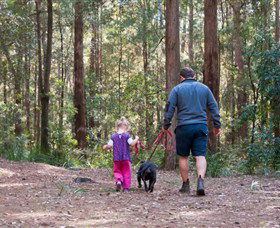 Kulnura NSW Accommodation Mount Tamborine
