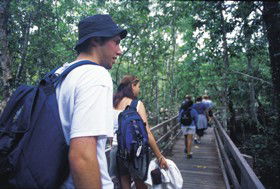 Mt Archer QLD Accommodation Mount Tamborine