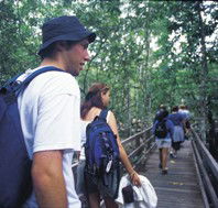 Bellthorpe National Park - Accommodation Mount Tamborine
