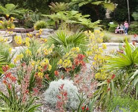 The Australian Botanic Garden Mount Annan - Accommodation Mount Tamborine 0
