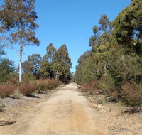 Werakata National Park - Accommodation Mount Tamborine