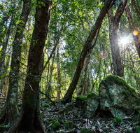Copeland Tops State Conservation Area - Accommodation Mount Tamborine