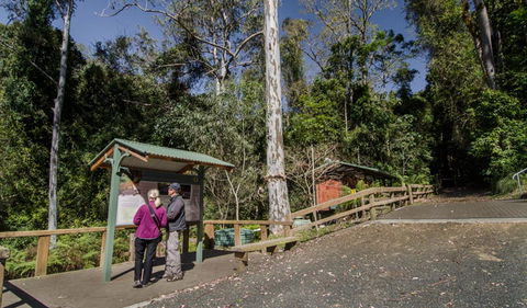 Copeland Tops State Conservation Area - Accommodation Mount Tamborine 2