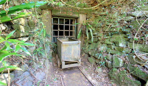 Copeland Tops State Conservation Area - Accommodation Mount Tamborine 3