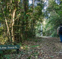 Basin Loop track - Accommodation Mount Tamborine