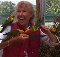 Maleny Botanic Gardens  Bird World - Accommodation Mount Tamborine