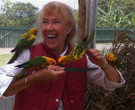 Maleny Botanic Gardens & Bird World - Accommodation Mount Tamborine 0