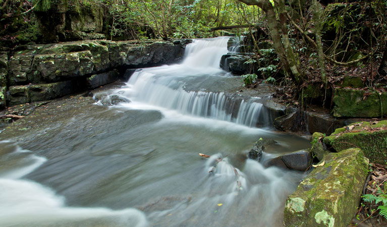 Bandon Grove NSW Accommodation Mount Tamborine