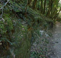 Hidden Treasure track - Accommodation Mount Tamborine